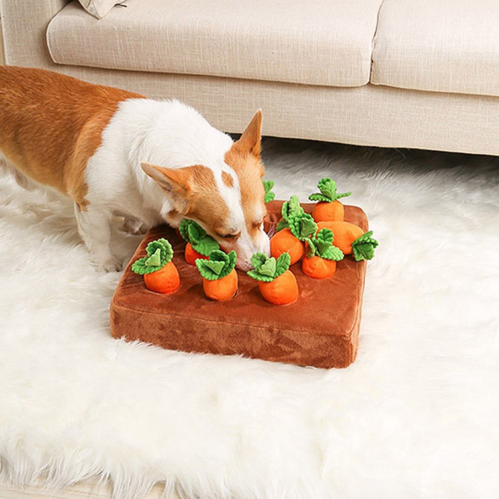 강아지 당근 노즈워크