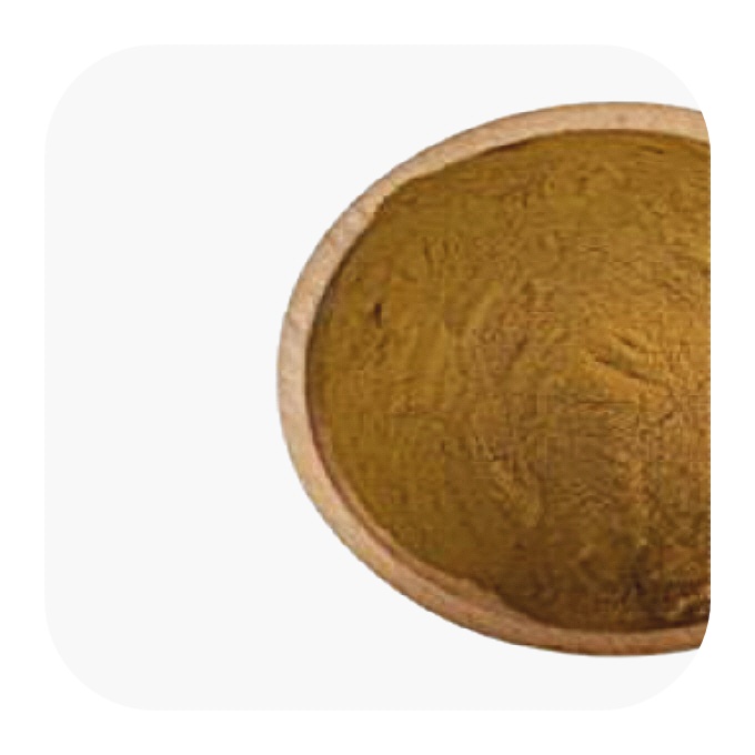 분말 가루 버섯 혼합 추출 100g : 서림마캣