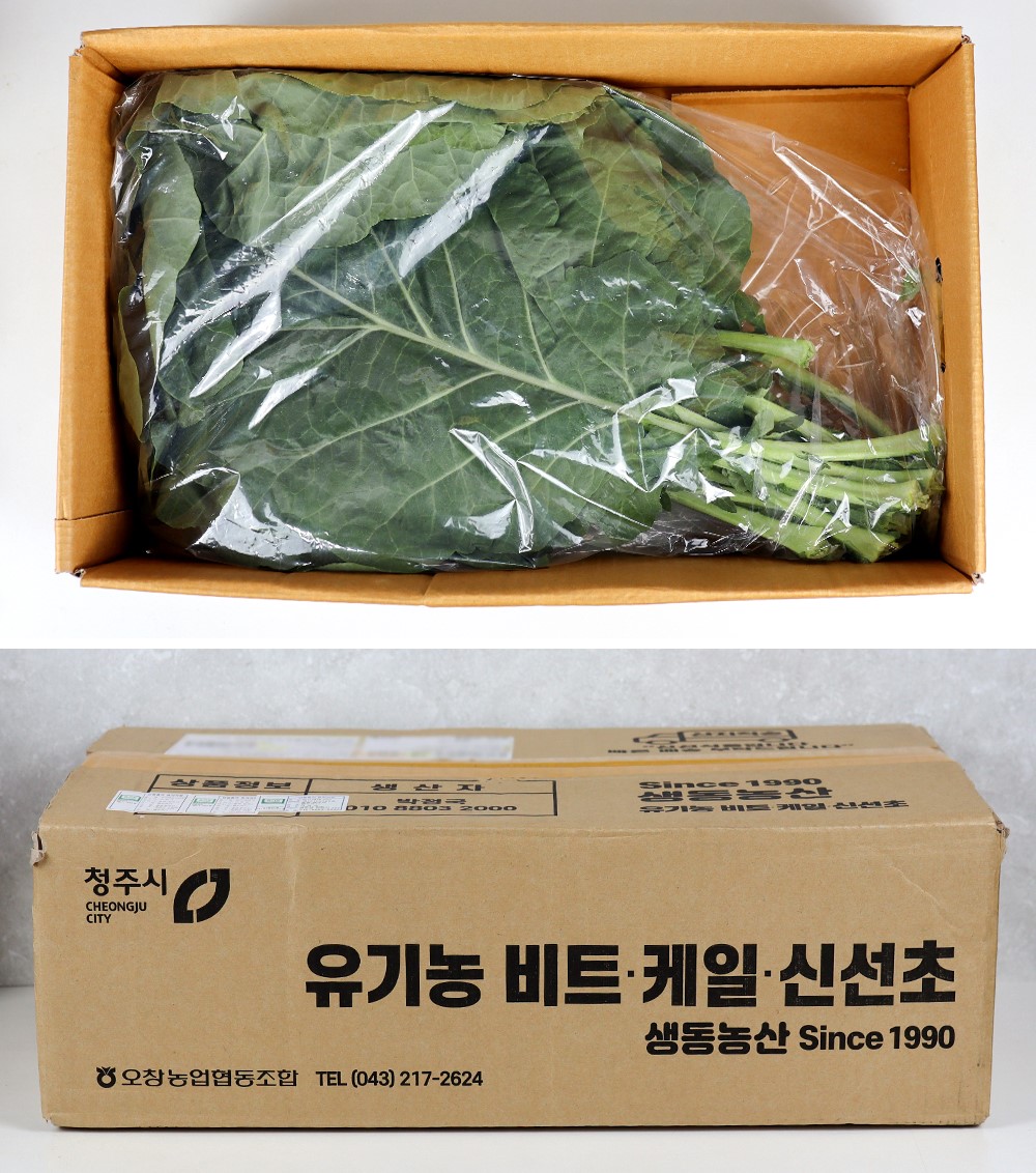 유기농 즙용 케일 1kg,2kg - 상세 이미지 5