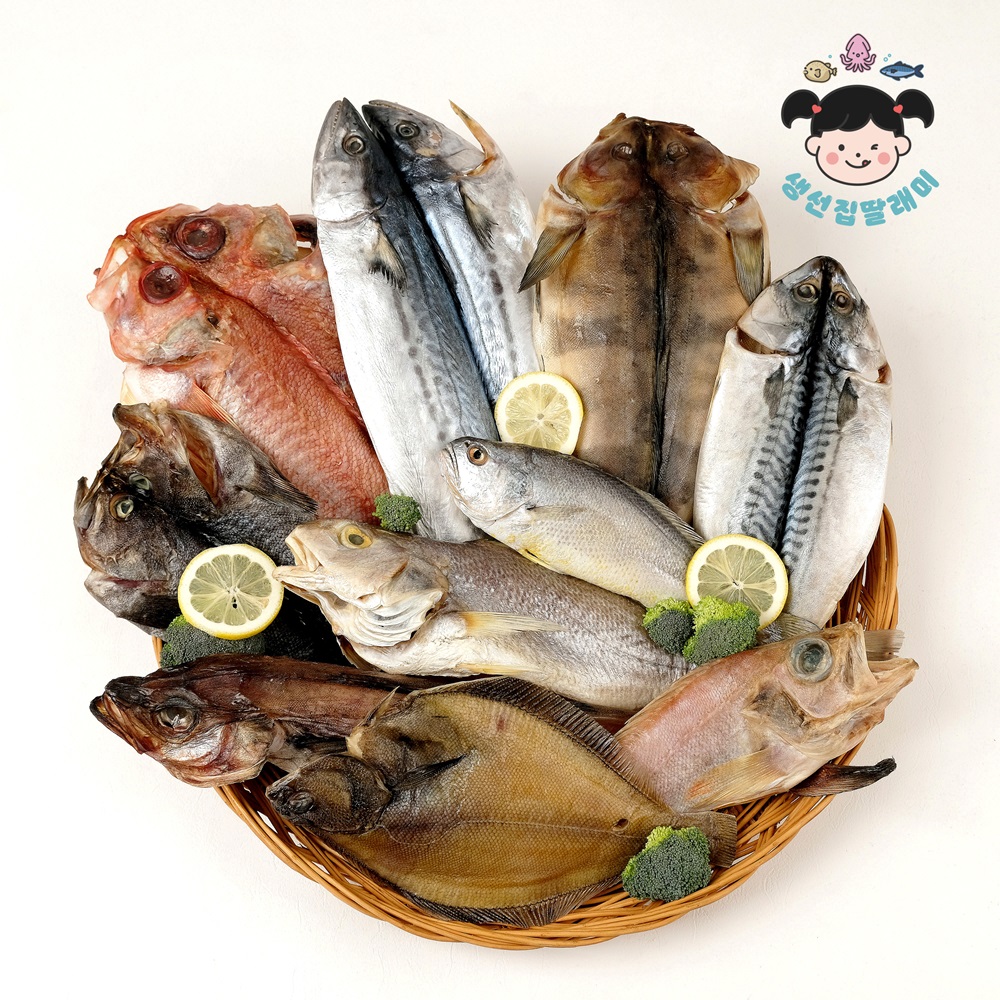 강원도에서 말린 반건조 생선 우럭 조기 가자미 삼치 고등어 뽈락 열기 코다리 임연수 민어