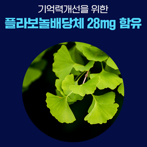 비웰 포스파티딜세린 징코 60캡슐 6박스 6개월 PS 인지력 기억력 혈행 면역력 은행잎 이미지 7