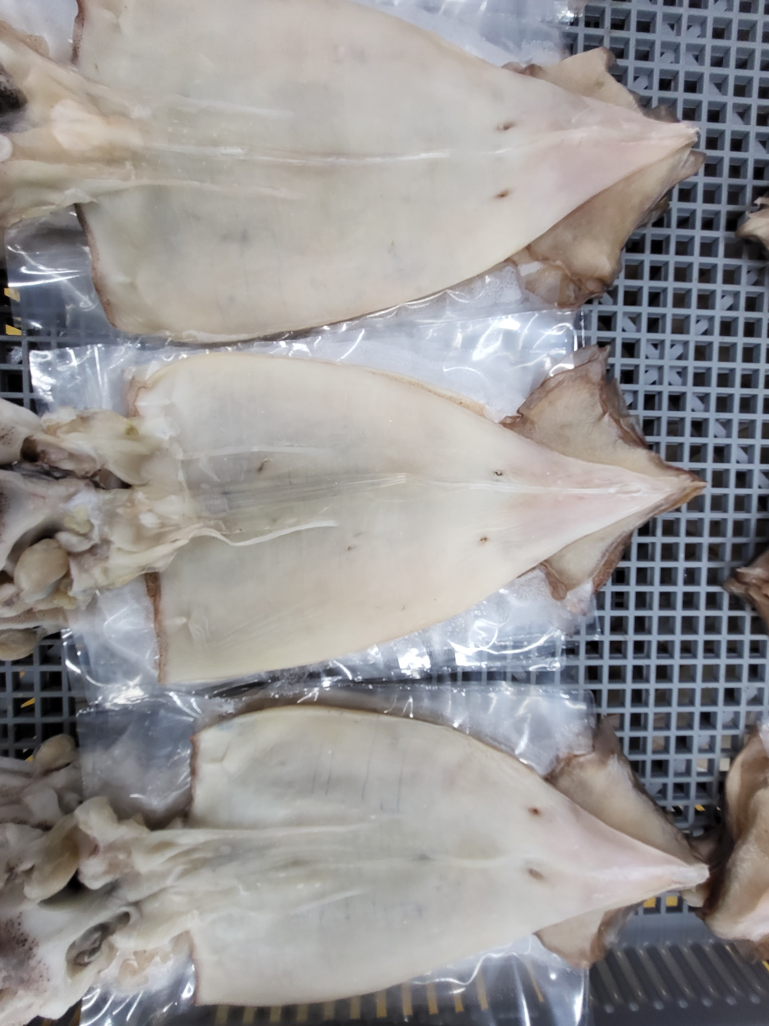 늘초록 반건조오징어 5미750g내외 피데기 해풍건조 울릉도전통방식 포항시인증필