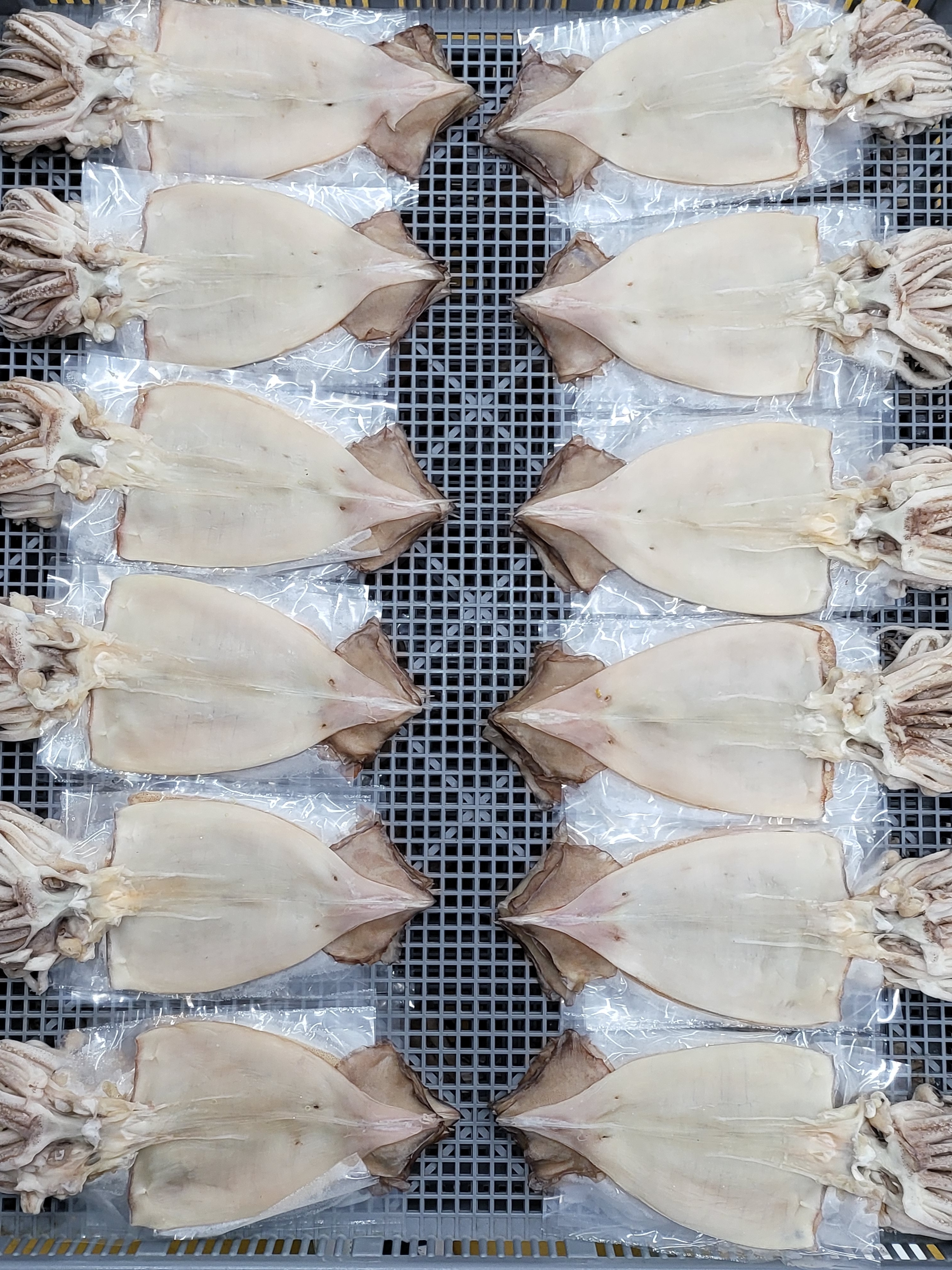 늘초록 반건조오징어 5미850g내외 피데기 해풍건조 울릉도전통방식 포항시인증필 - 상세 이미지 2