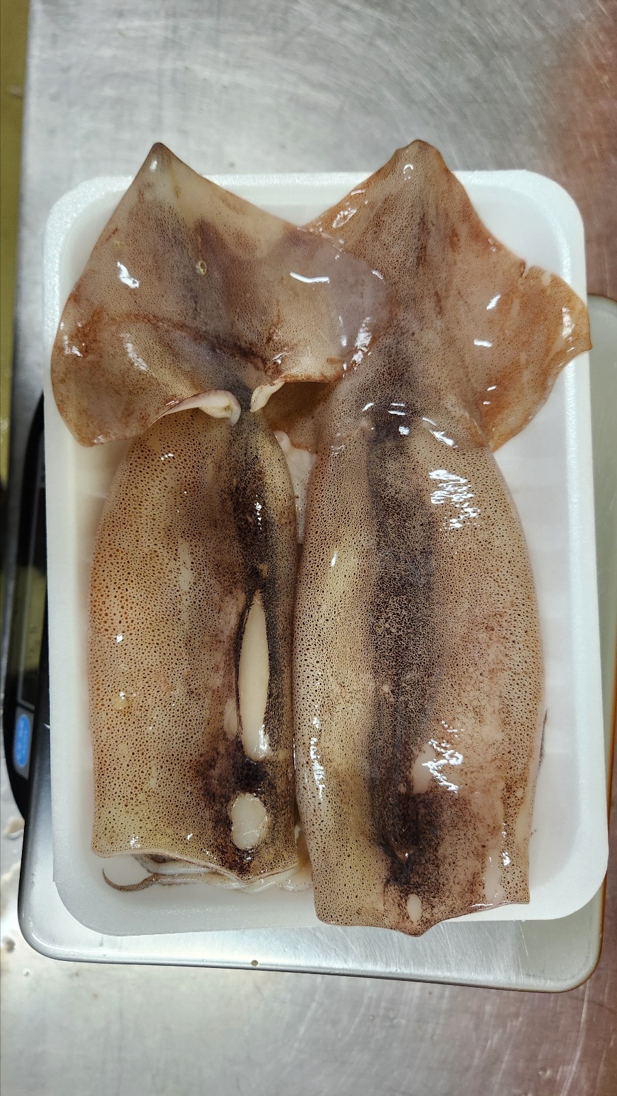 늘초록 완전 손질통오징어 1.04kg 4팩 8마리 포항시인증필 물오징어