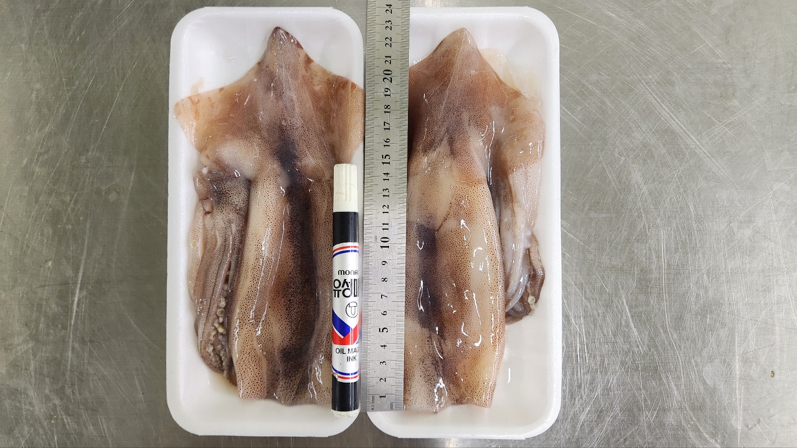 늘초록 완전 손질통오징어 링채200g 포항시인증필 물오징어 - 상세 이미지 2
