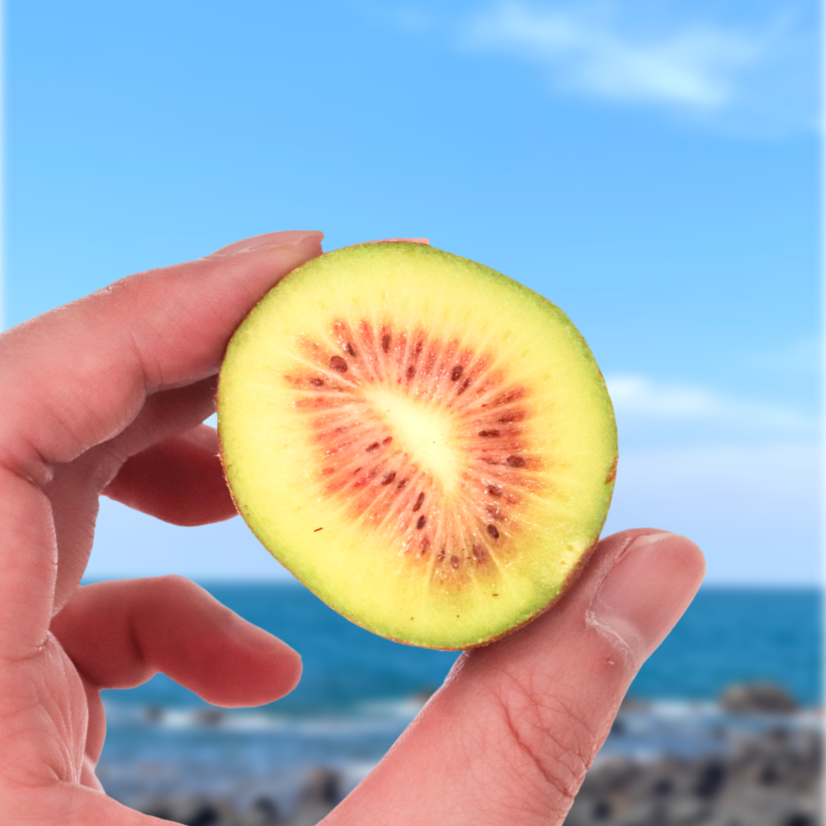 제주 레드키위 1.5kg 2.5kg - 상품 이미지