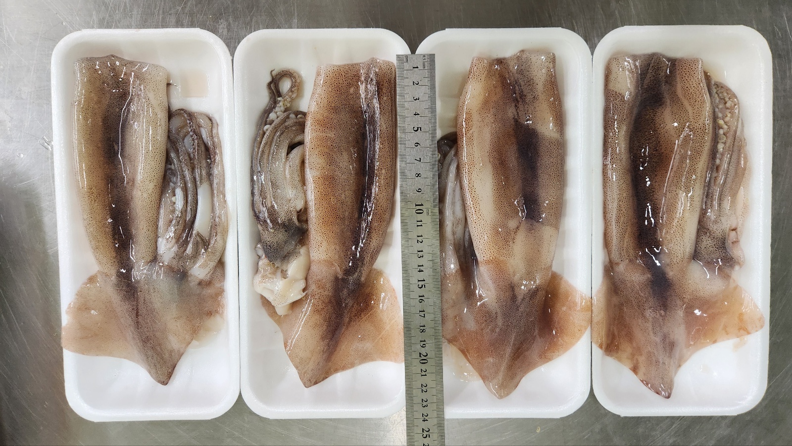 늘초록 완전 손질통오징어 링채200g 포항시인증필 물오징어 - 상세 이미지 3