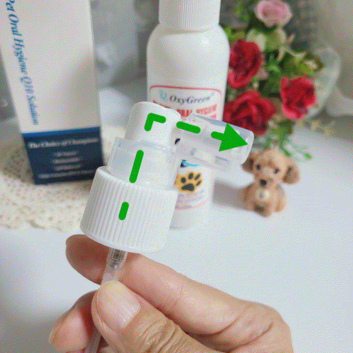 옥시그린 펫 구강솔루션 강아지 뿌리는 항산화치약 구취제거 구강스프레이 - 상세 이미지 3