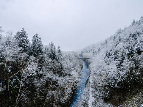 삿포로 비에이 후라노 버스투어 DSLR 사진 촬영 /[준페이 예약 식사]