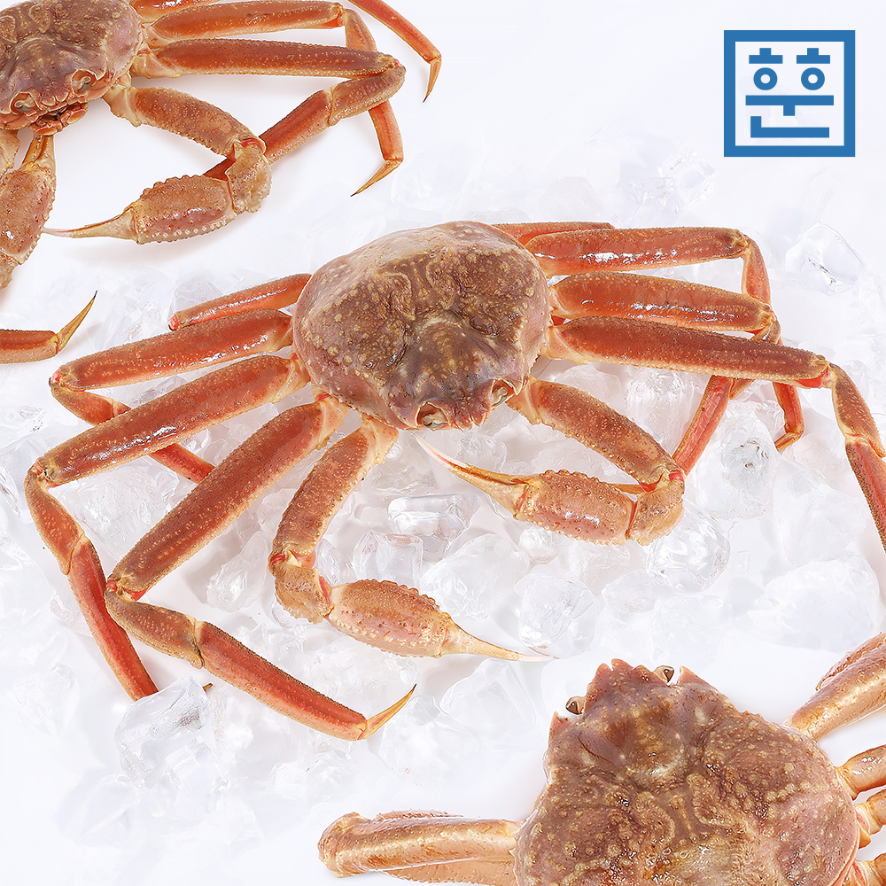 제철 활 박달대게 대게 1kg 러시아 대게 - 상세 이미지 2