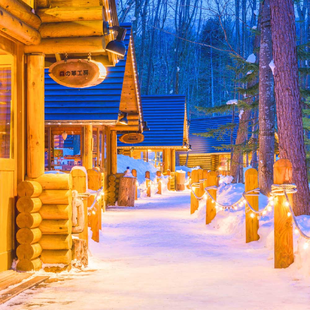 [비에이/1일버스] 삿포로 비에이 일일 버스 투어 북해도 홋카이도 현지 여행 유투어버스 상세 이미지 3