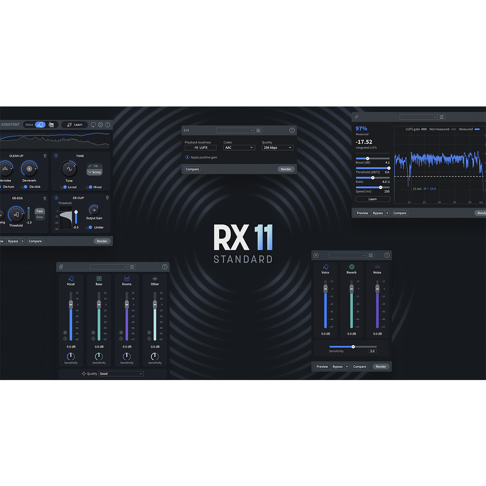 iZotope RX 11 Standard Crossgrade from any paid iZotope 아이조톱 RX11 스탠다드 크로스그레이드 - 상세 이미지 2
