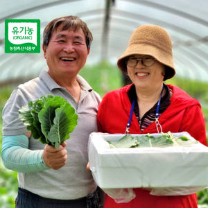 케일 유기농 쌈케일 무농약 쌈용 케일 제철채소 즙용 주스용케일 녹즙재료 ... 맛있게 먹은 솔직 후기 - 상품 이미지 1