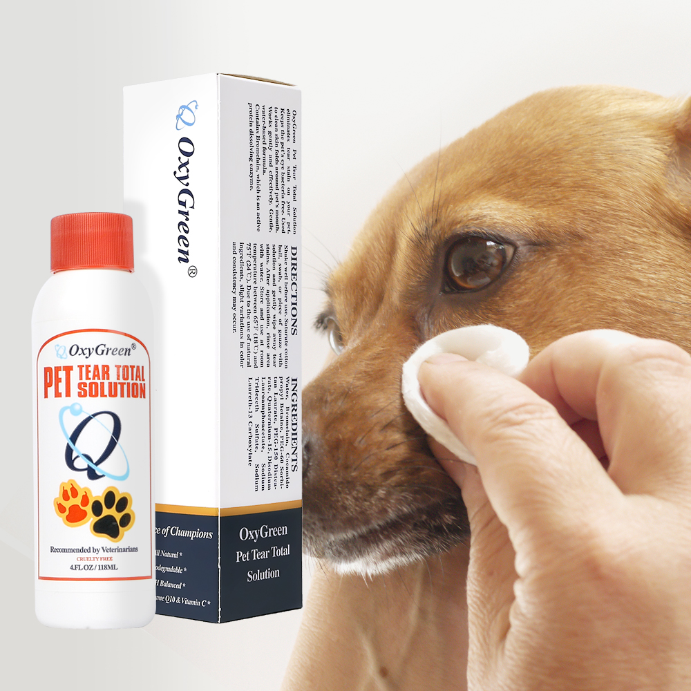 옥시그린 아이 토탈솔루션 강아지 눈물자국 세정제 눈물냄새 눈물착색 지우개