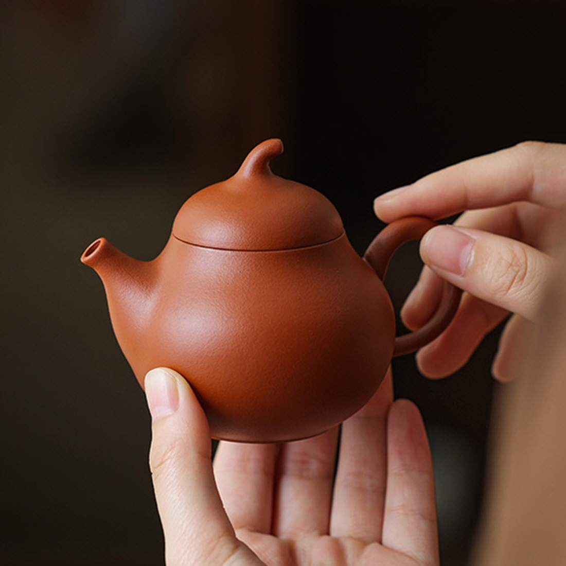 [자사호] 더큰솔 원광 주니 이형호 이싱 자사호 보이차 공부차 다관 120ml