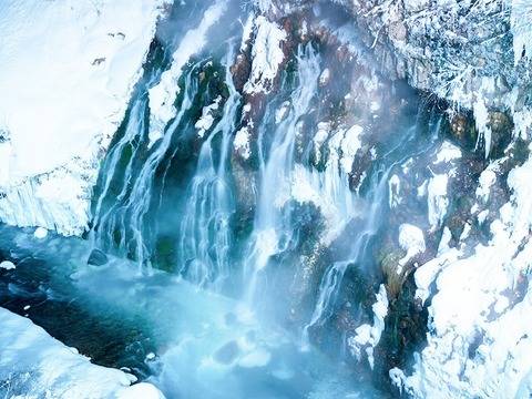 삿포로 비에이 후라노 버스투어 DSLR 사진 촬영 /[준페이 예약 식사]