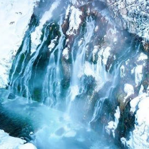 삿포로 비에이 후라노 버스투어 DSLR 사진 촬영 /[준페이 예약 식사] 솔직 후기 | 실사용자 리뷰 분석 - 상품 이미지 4