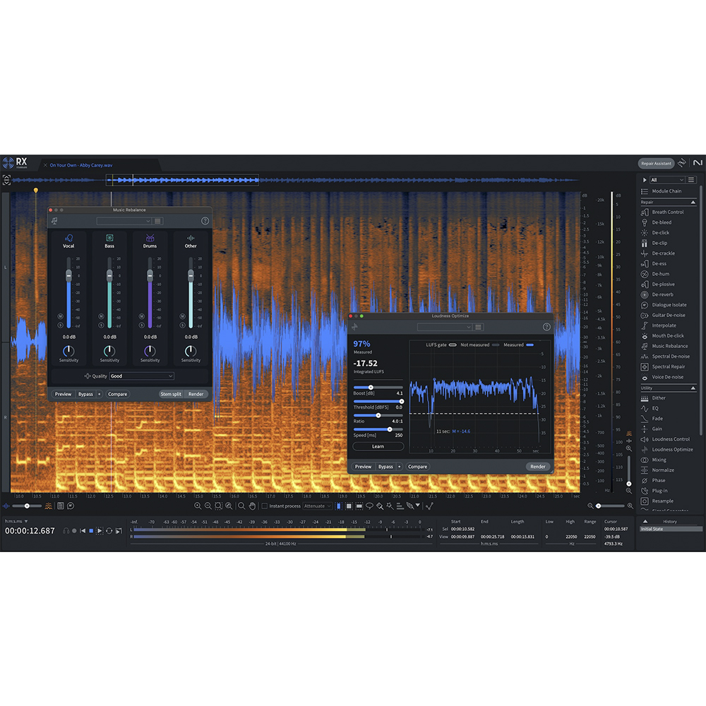 iZotope RX 11 Standard Crossgrade from any paid iZotope 아이조톱 RX11 스탠다드 크로스그레이드 - 상세 이미지 3