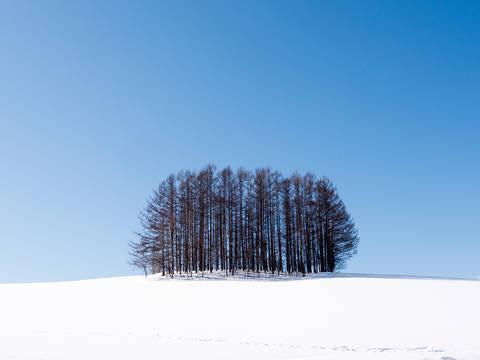 비에이 겨울 풍경과 버스 투어 이미지