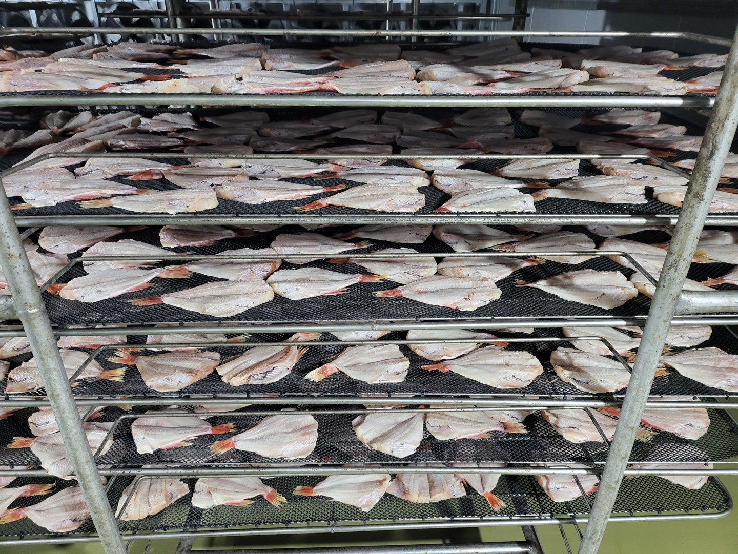늘초록길목 반건조열기 장문볼락 500g(4-6)적어 - 상세 이미지 2