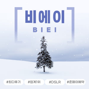 삿포로 비에이 후라노 버스투어 DSLR 사진 촬영 /[준페이 예약 식사] 솔직 후기 | 실사용자 리뷰 분석 - 상품 이미지 1