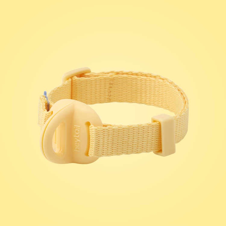 헤이테일 에어워크 가벼운 목줄 초경량  산책 소형견 중형견 순면