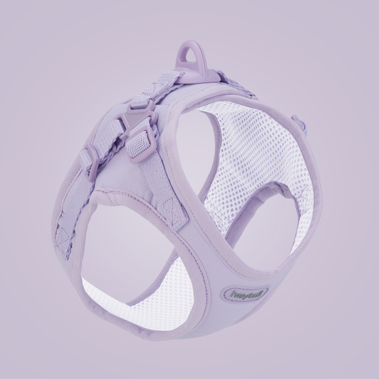 헤이테일 에어워크 강아지하네스 소형견 앞섬방지 가슴줄 3종