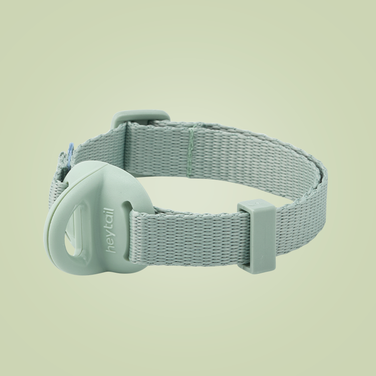 헤이테일 에어워크 가벼운 목줄 초경량  산책 소형견 중형견 순면