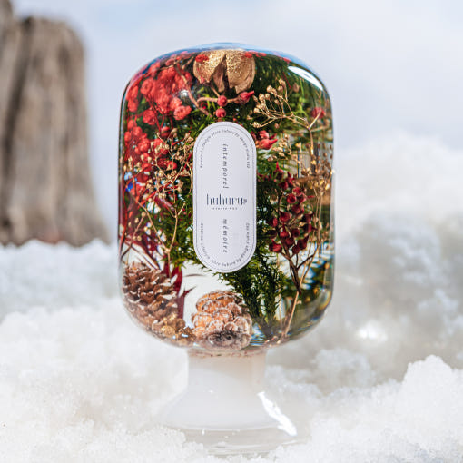 후후루 시즌리미티드 크리스마스트리 - 생화 식물무드등 미니트리 조명 홀리데이 스노우볼