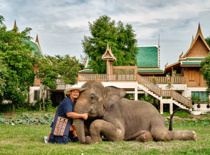 [스타벅스 기프티콘 이벤트] 치앙마이 코끼리 정글 보호 캠프(Elephant Jungle Sanctuary) 방문 - 상세 이미지 3