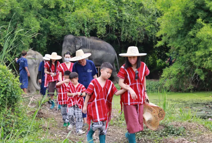 [스타벅스 기프티콘 이벤트] 치앙마이 코끼리 정글 보호 캠프(Elephant Jungle Sanctuary) 방문 이미지 6