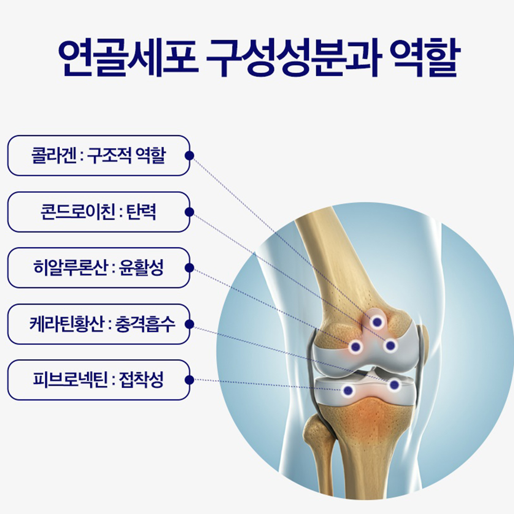 난각막 난간막 가수분해물 저분자 콘드로이친 수용성 난관막 효능 분말 60정 4개월 - 상세 이미지 3