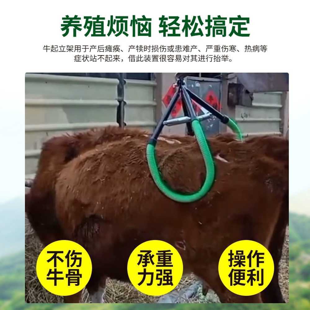 카우 리프트 행거 걸이 사육장 운반 리프팅 기립대 1800KG - 상세 이미지 2