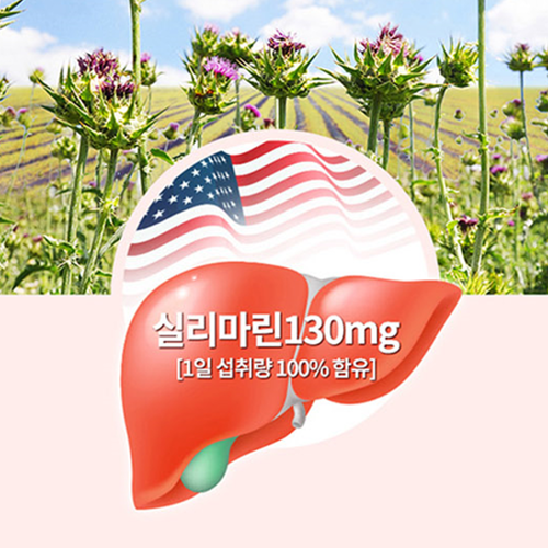 엔젯오리진 프리미엄 밀크씨슬 1350mg 150정 5개월 실리마린 130mg 간건강 면역 - 상세 이미지 2