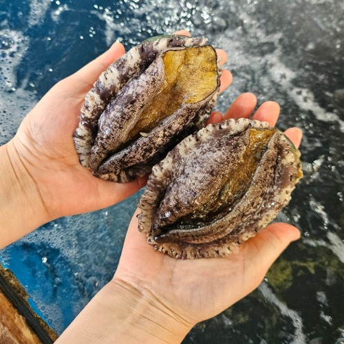 해수산소포장 완도 활전복 1kg