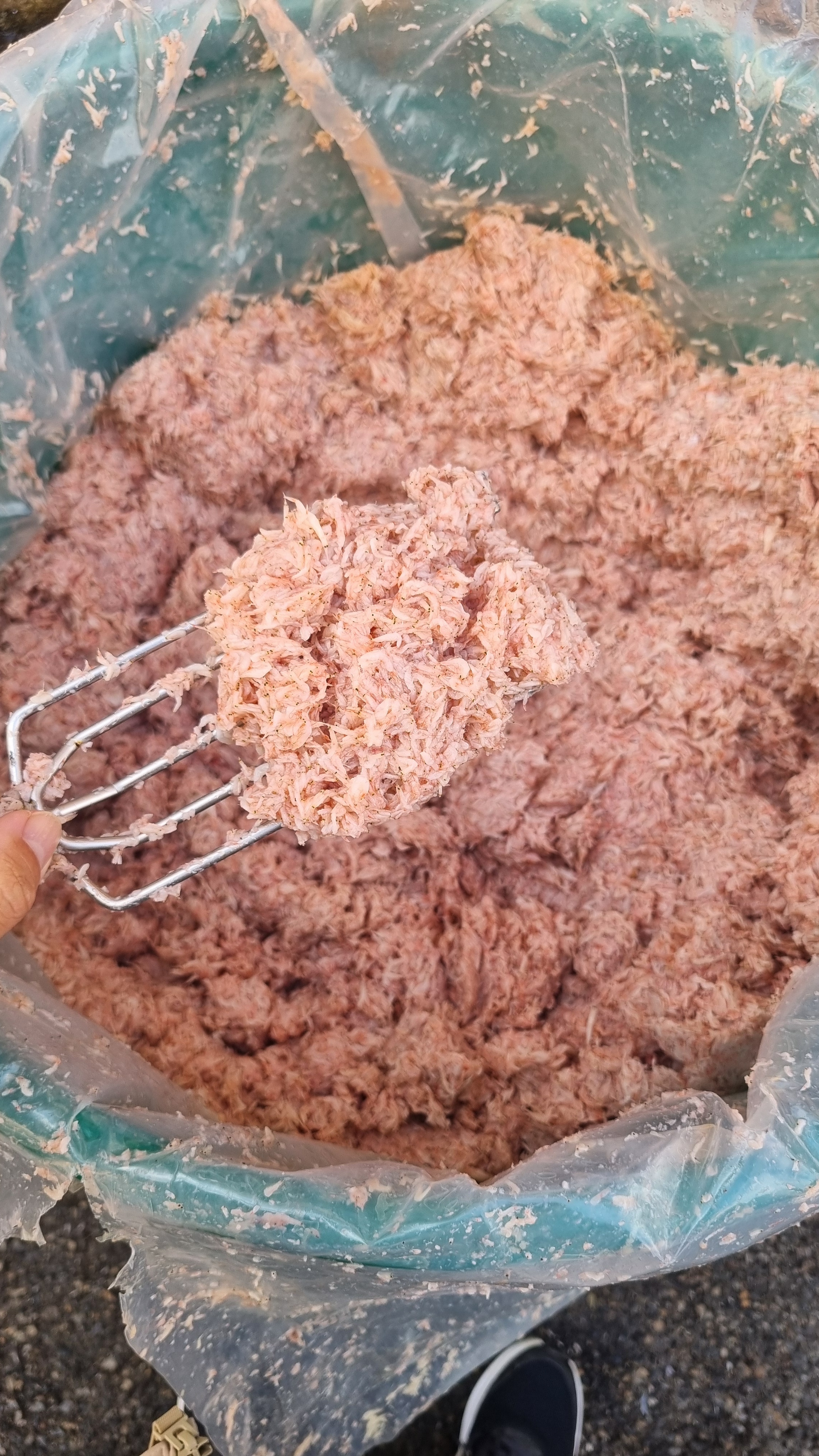 충남 서해안 서천 자하젓3kg - 상세 이미지 3