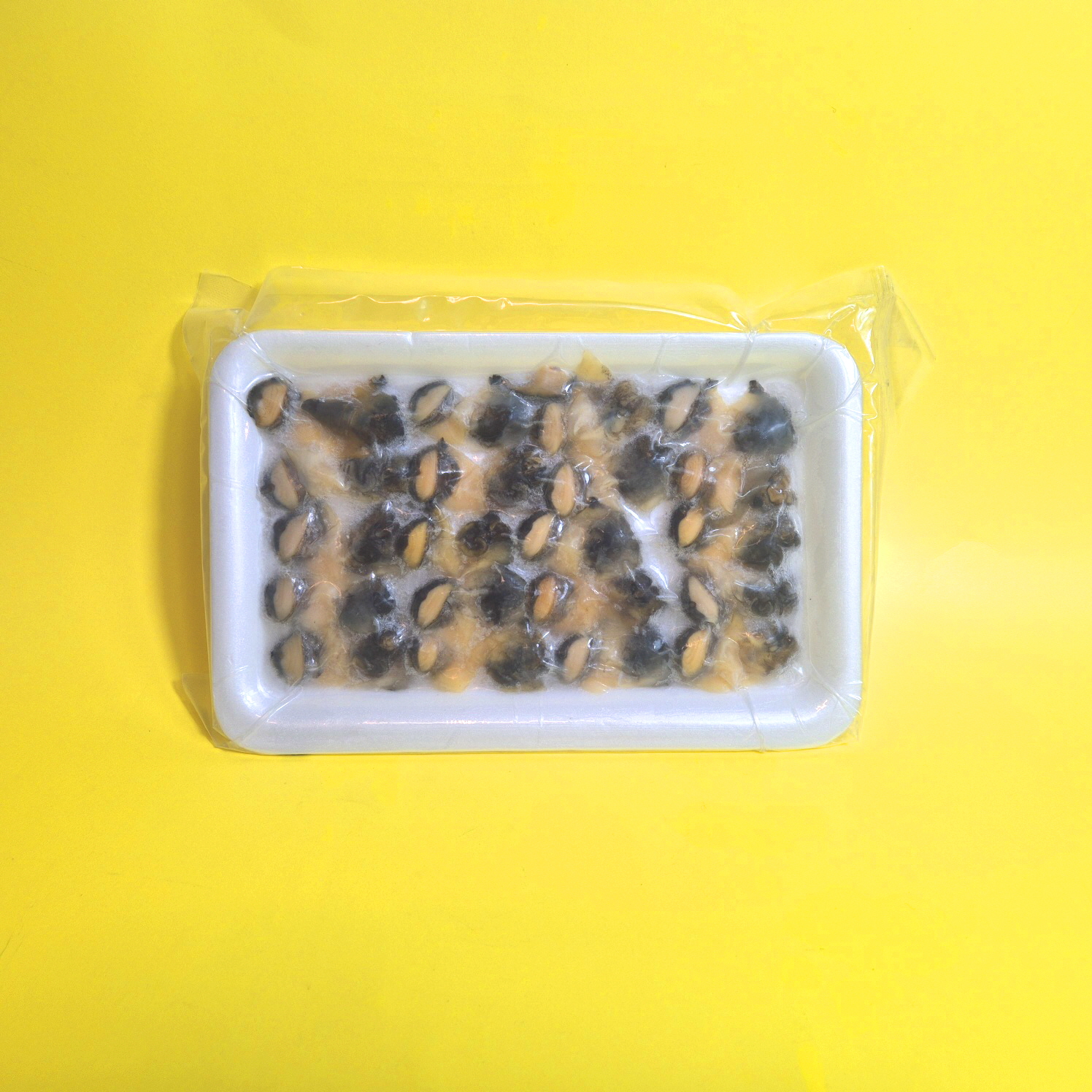 초밥용 참소라 피뿔고동 100g (5g x 20미) (당일출고) 소라초밥 초밥재료 피뿔고둥