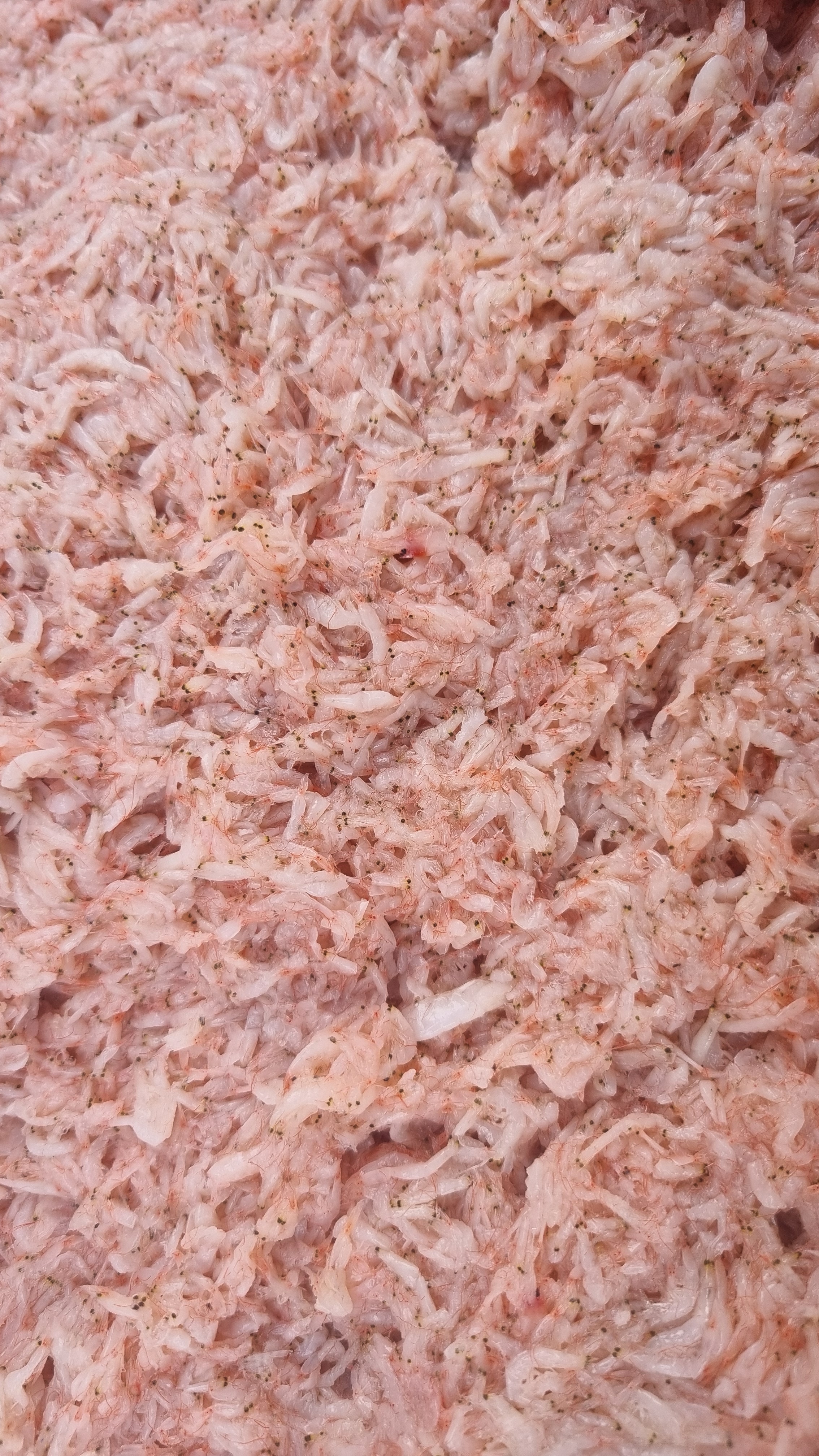충남 서해안 서천 자하젓3kg - 상세 이미지 2