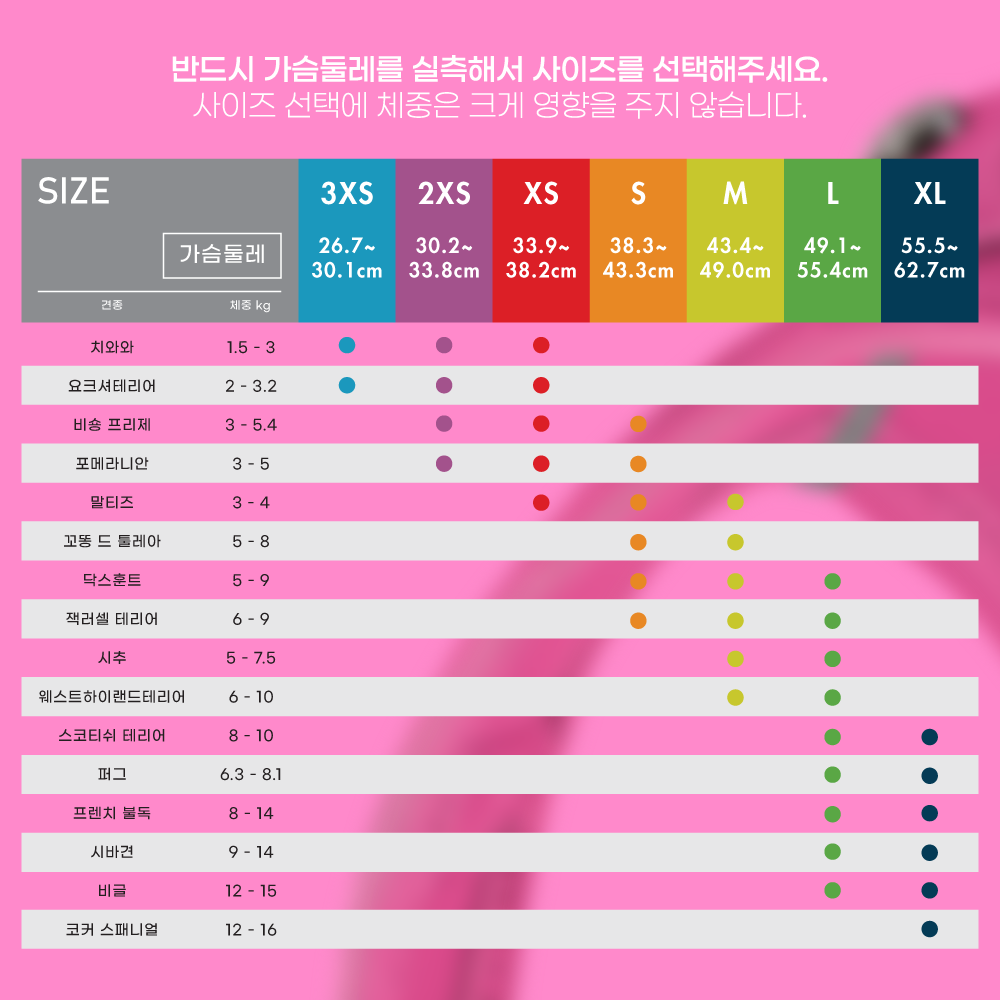 스위스 큘리 시그니쳐 하네스 푸시아 - 상세 이미지 4