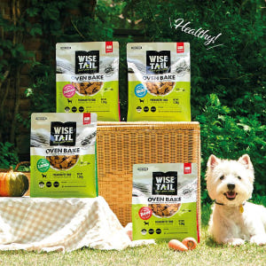 와이즈테일 오븐베이크사료 기호성좋은 알러지사료 독 연어 1.3kg 솔직 후기 | 실제 사용자 리뷰 총정리 - 상품 이미지 4