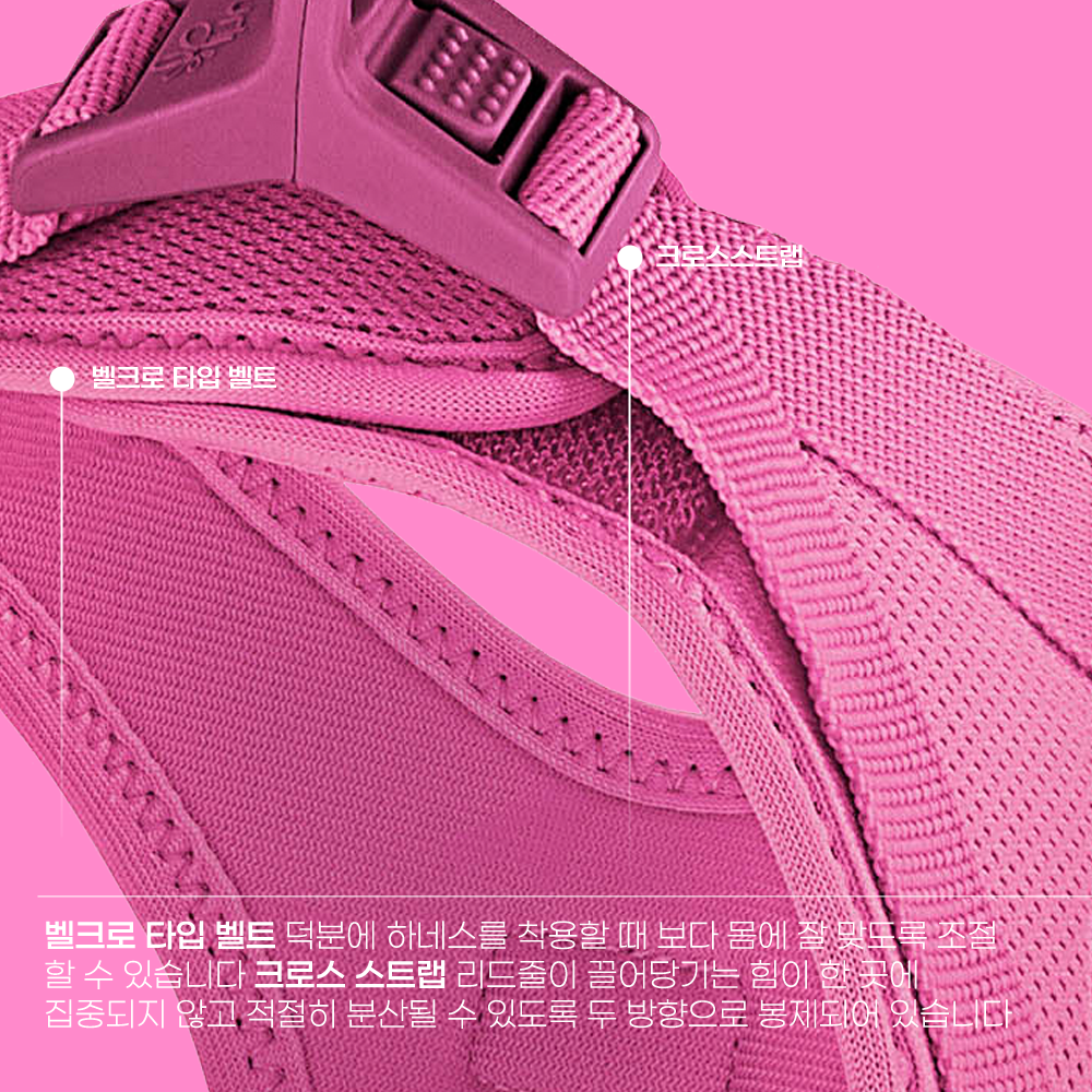 스위스 큘리 시그니쳐 하네스 푸시아 - 상세 이미지 5