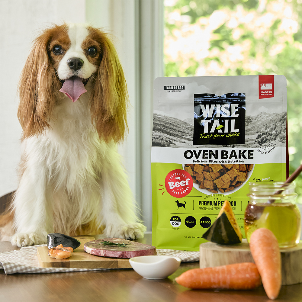 와이즈테일 오븐베이크 노견 사료 말티푸 미니비숑 눈물사료 독 소고기 1.3kg
