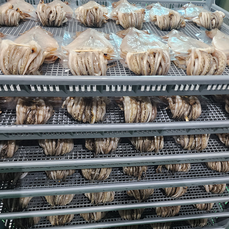 쫄깃쫄깃 휴게소 반건조 오징어 중 사이즈(900g~1Kg) 10미 1박스 이미지 6