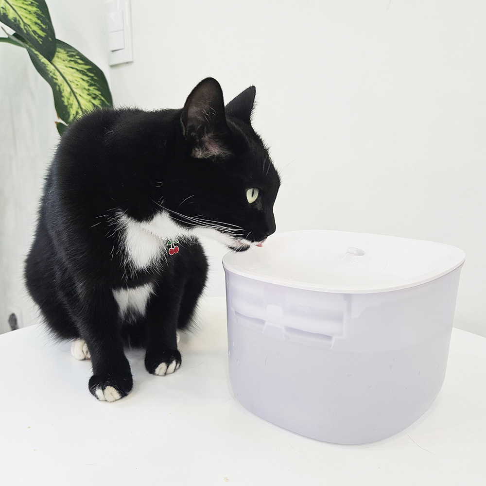 페페 무선 UV 살균정수기 CW-100 wireless 고양이 강아지 방광염 - 상세 이미지 2