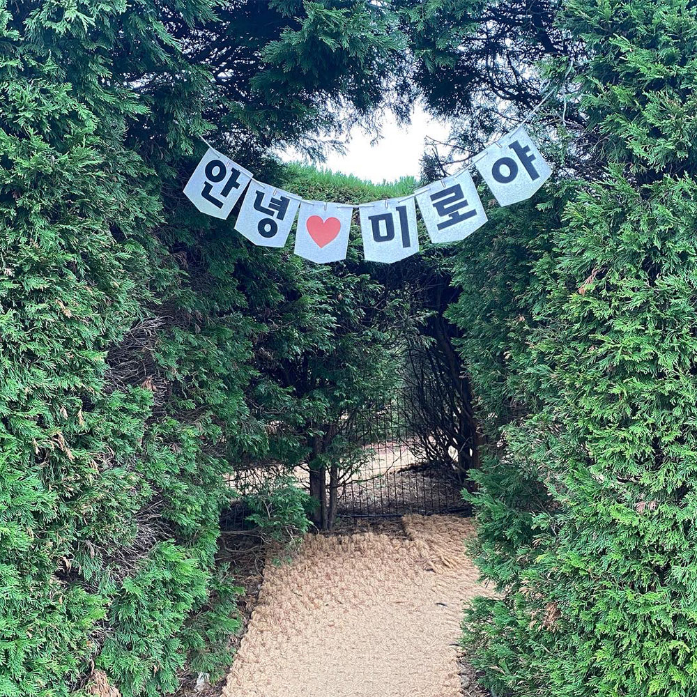 야자수 매트 주차장 실외 코코아 마당 이미지 6