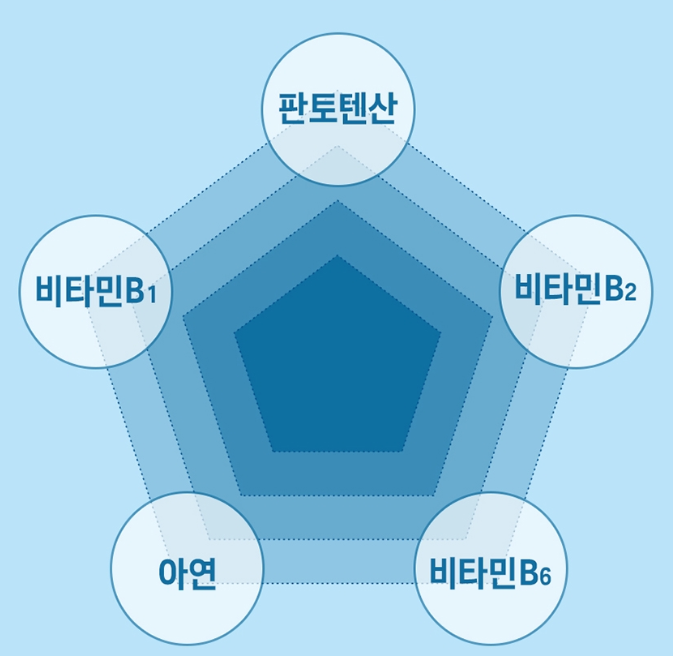 식후혈당제 혈당 컷 관리케어 영양제 약1달분 - 상세 이미지 5