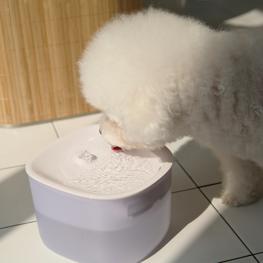 페페 무선 UV 살균정수기 CW-100 wireless 고양이 강아지 방광염 - 상세 이미지 3