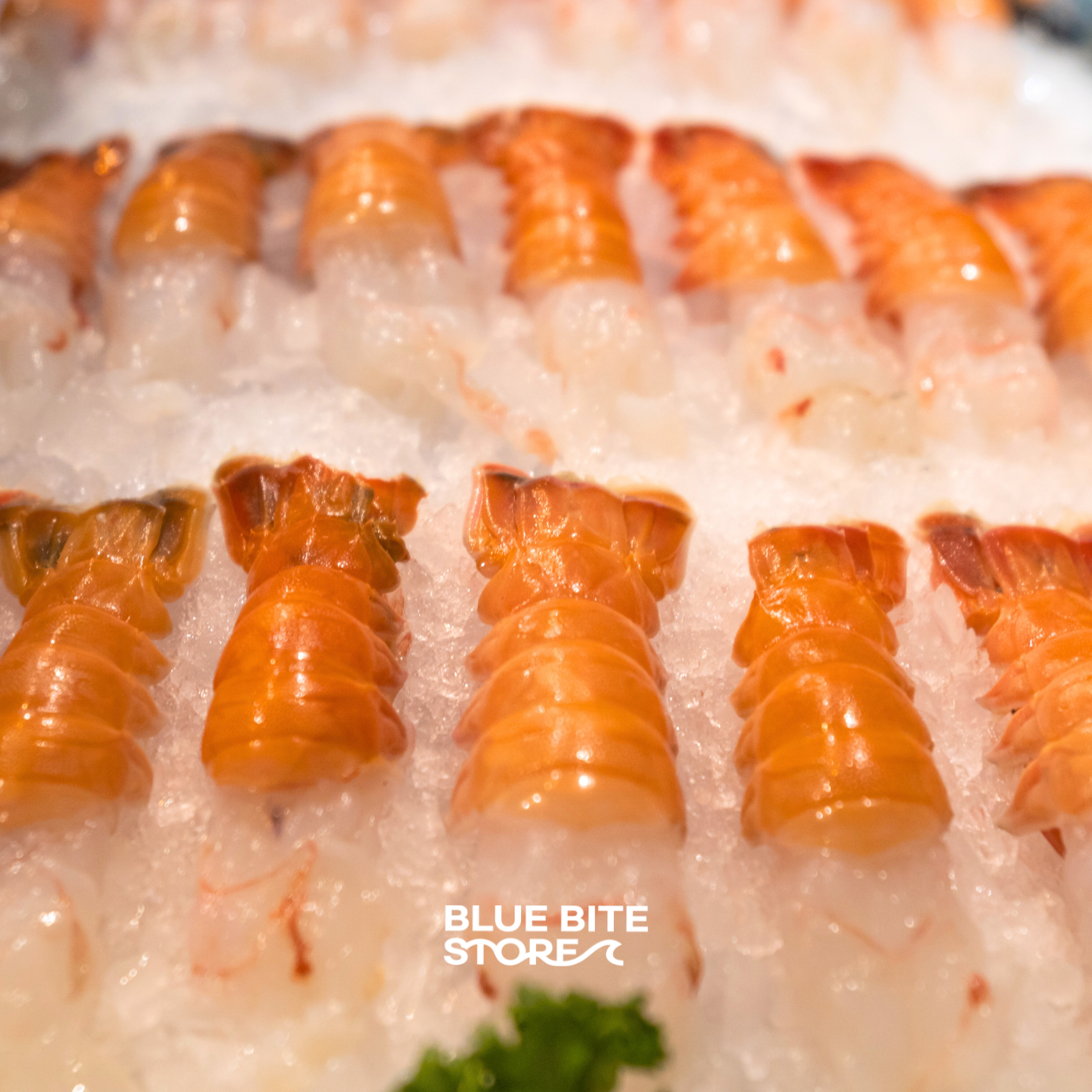 딱새우회 제주 자연산 150g 손질새우 딱새우