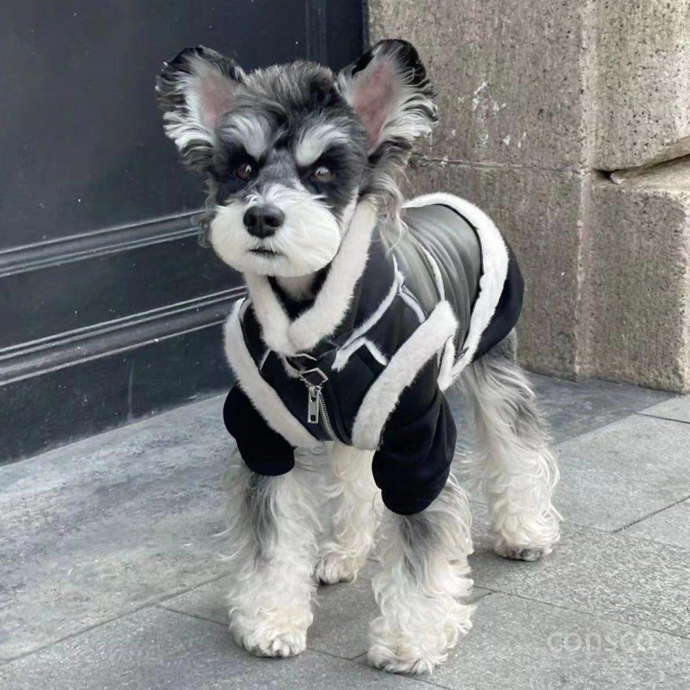 강아지 무스탕 조끼 겨울 고양이 누빔 실내복 애견의류 소형견 중대형견 S - 상품 이미지