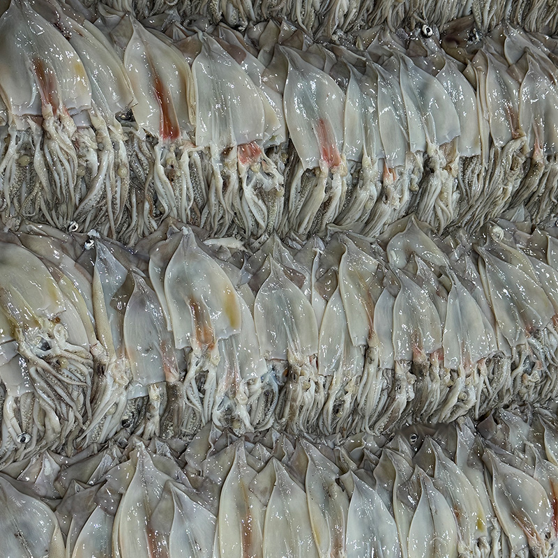 쫄깃쫄깃 휴게소 반건조 오징어 중 사이즈(900g~1Kg) 10미 1박스 - 상세 이미지 5